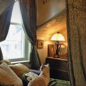 Meet your Posher, Kaitlin